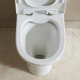 PACK WC ANGEL SANS BRIDE SH
