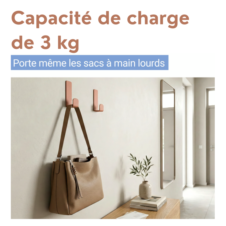 Crochet mural inox marron mat sans perçage Turbo-Loc Wenko (x2)