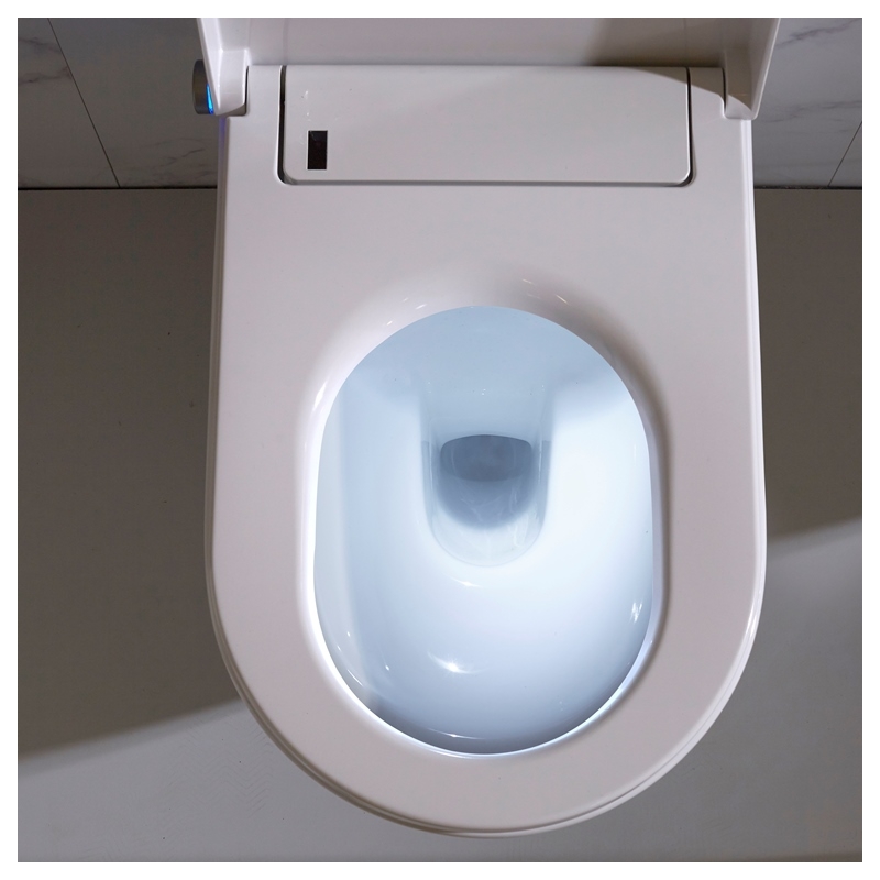 Toilette suspendue japonaise : la cuvette lavante séchante