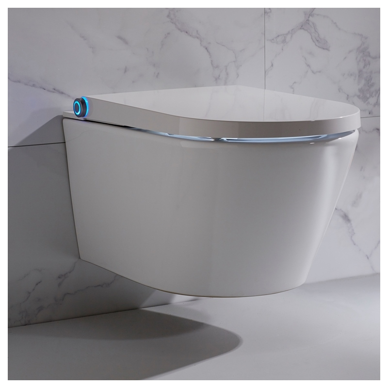 TOILETTE JAPONAISE - solution innovante pour toilette