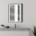 MIROIR LED RECTANGLE SWAN BLACK 75X60CM